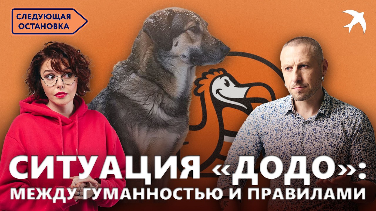 ДОБОБОНЯ и Додо Пицца | Уволили курьера за собаку: Бизнес или Человечность в Челябинске?