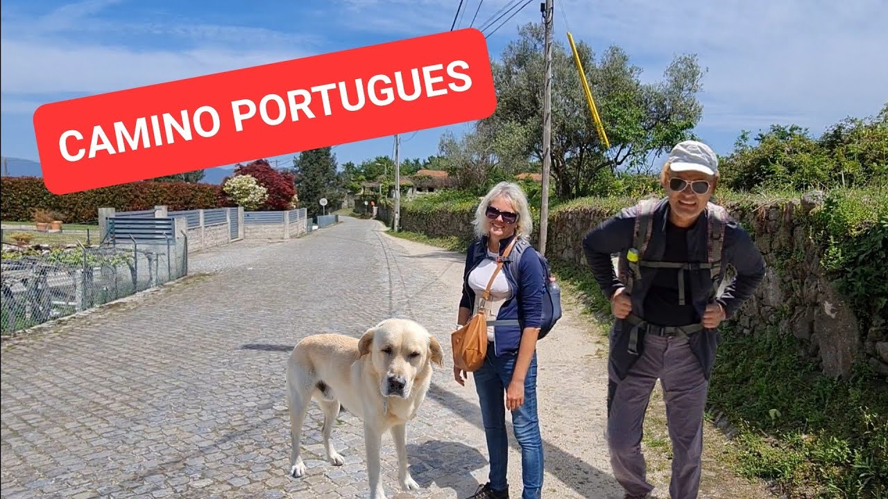 Мы не сдаёмся. Только вперёд. Camino Portugues por la Costa.  Португальский путь. 2 часть.