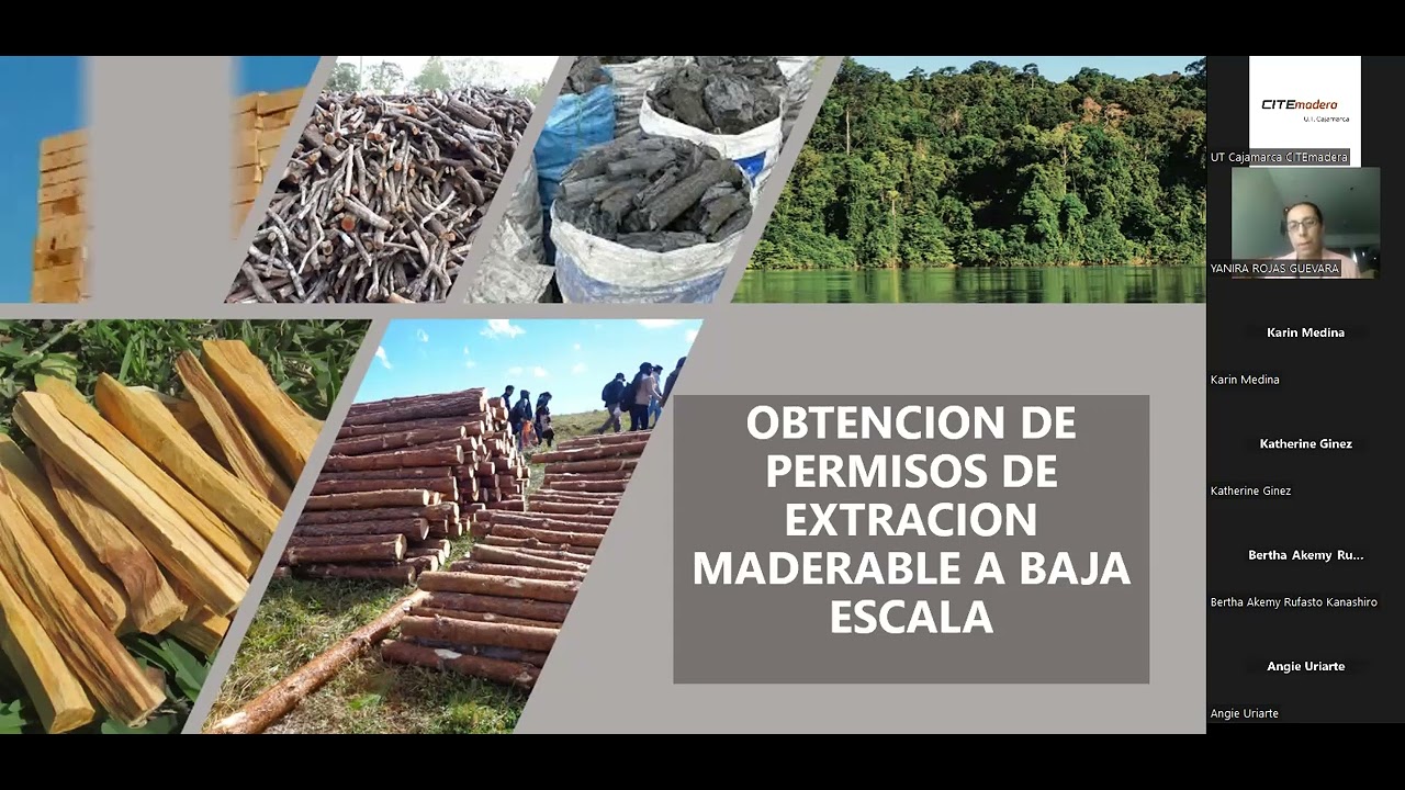 Emprendimiento en el sector forestal y madera
