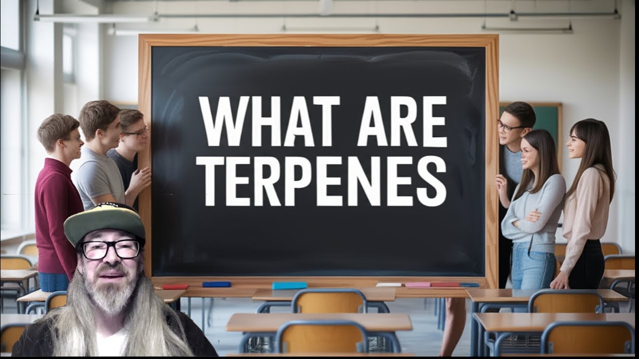 What are Terpenes? Why Does My Cannabis Smell w/ Chad Westport : Spider Farmer DWC  System