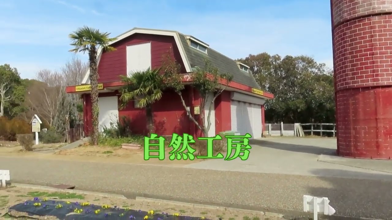 260210石ガ谷梅林