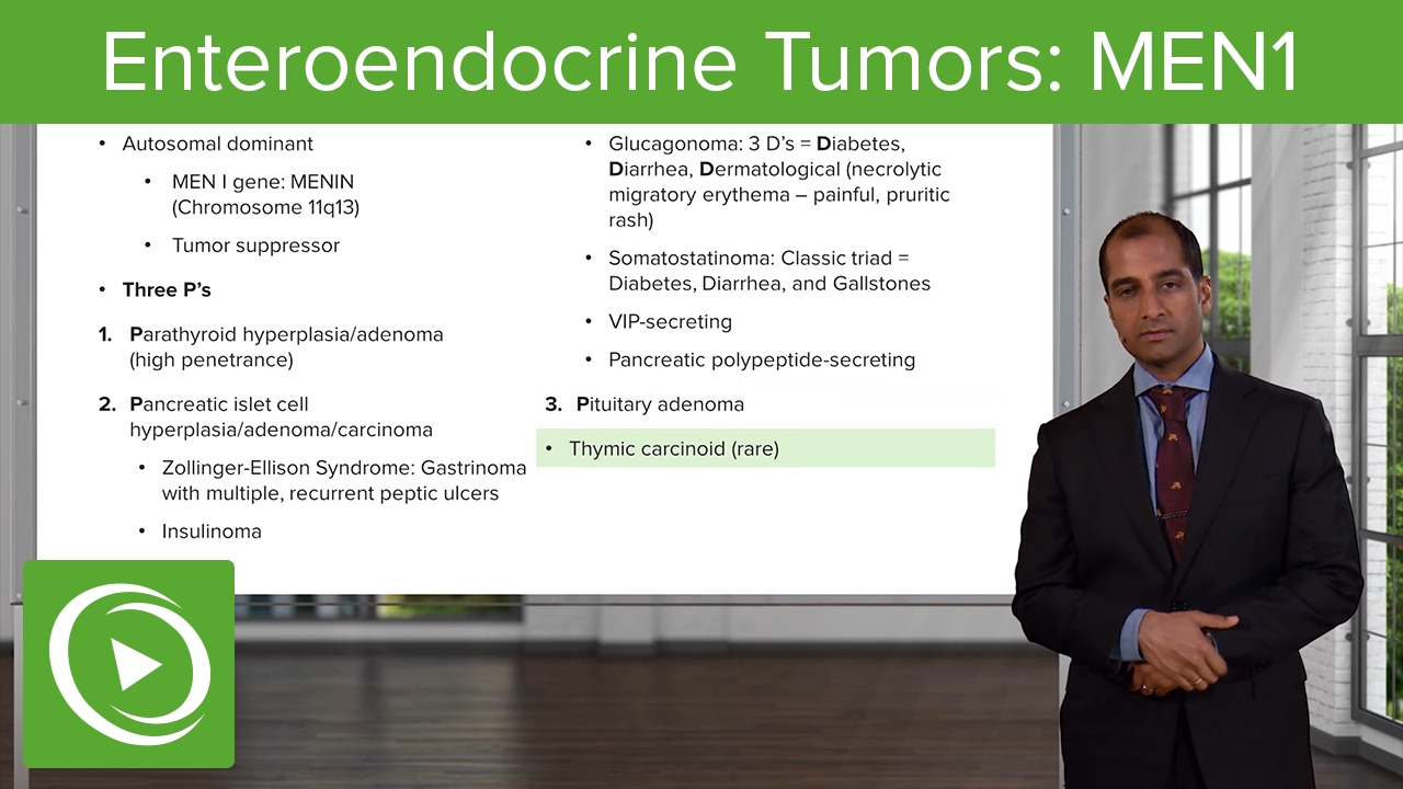 Enteroendocrine Tumors: MEN1 & Insulinoma (β-cells)– Endocrine Pathology | Lecturio