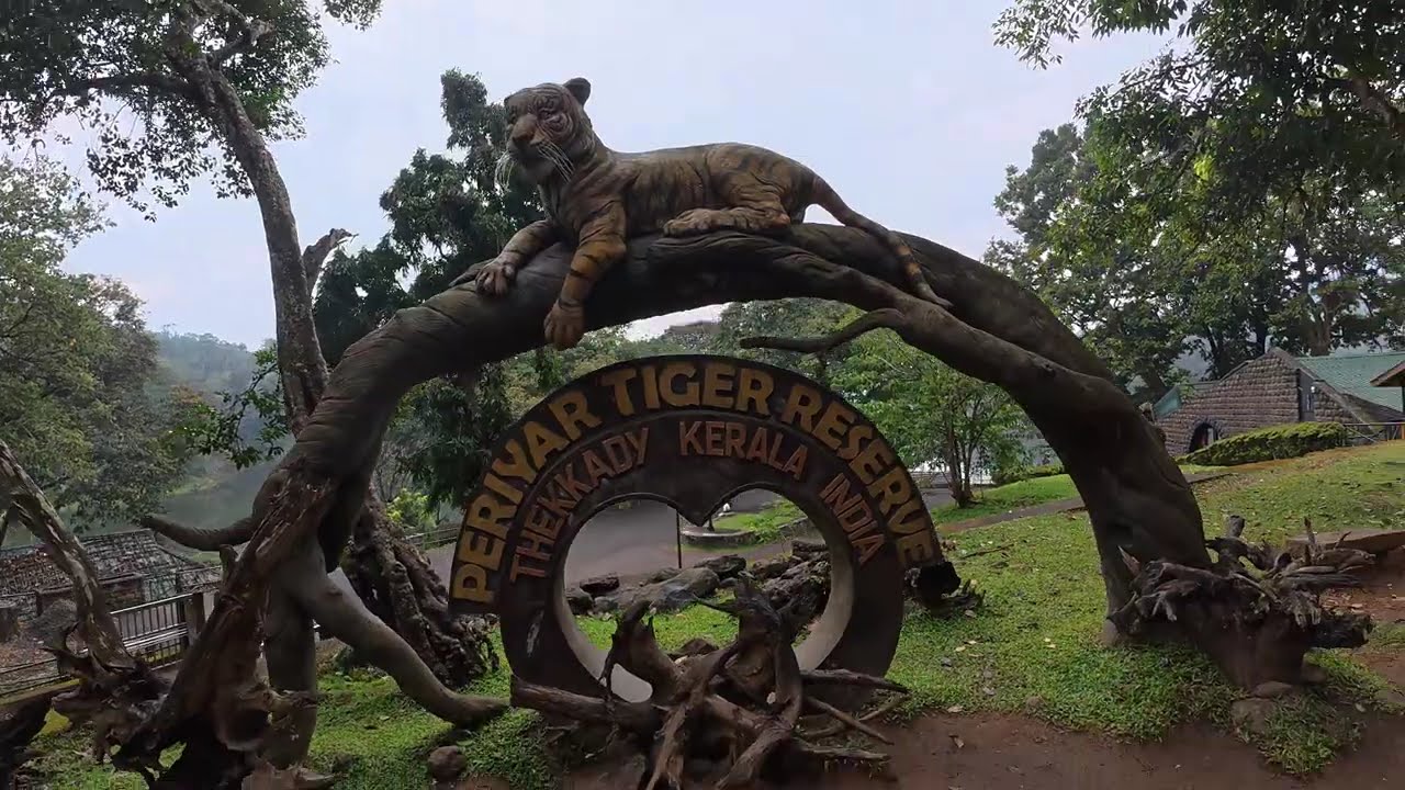 தேக்கடி எப்படி இருக்கும் | படகு சவாரியில் காட்டு விலங்குகளை பார்க்கலாமா..?  வாங்க பார்க்கலாம்... 