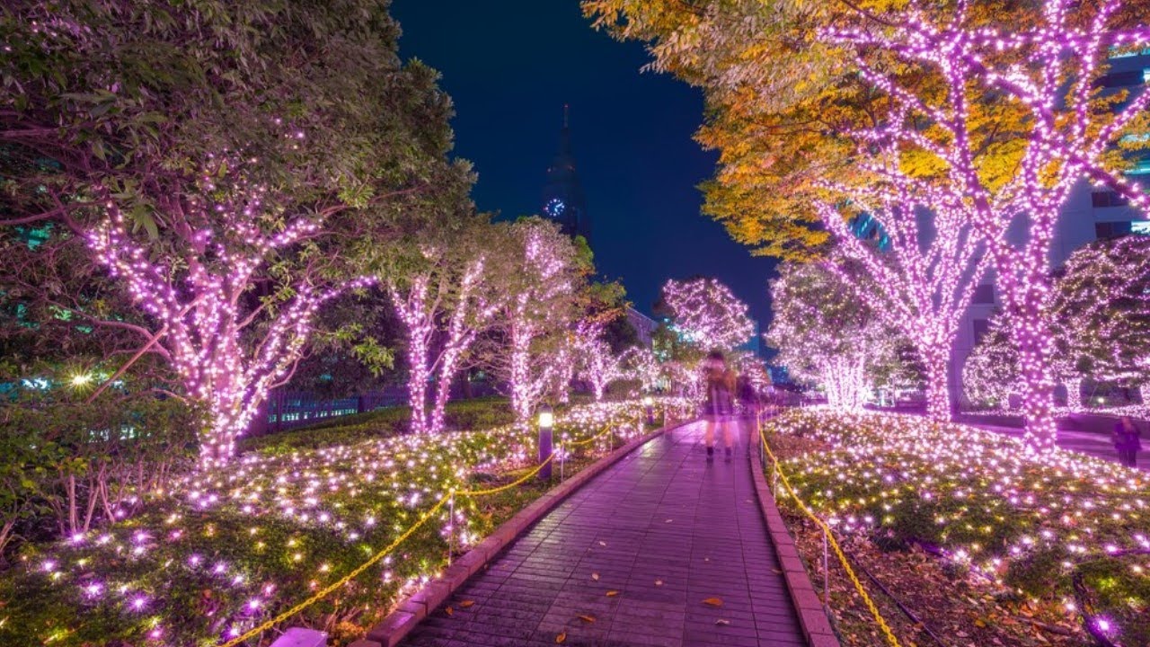Best Columbus Ohio Holiday Light Shows 2020- Christmas Light Displays Columbus OH 2020