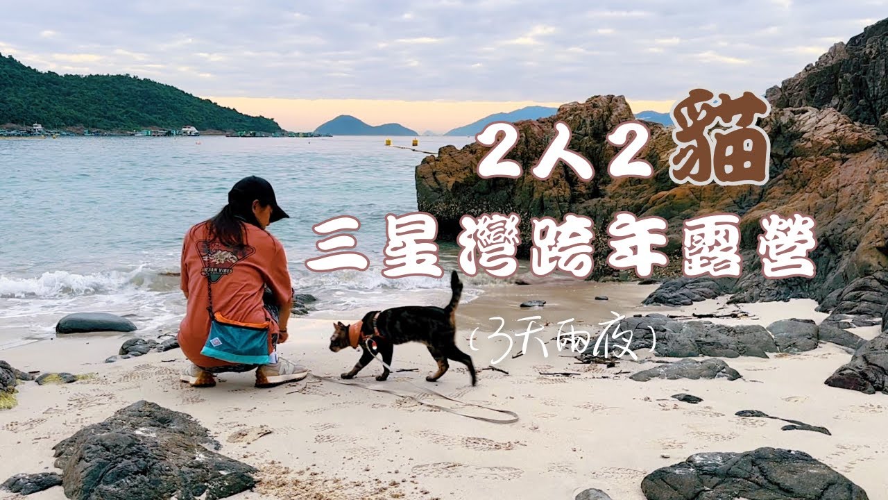 【帶著港短去露營】2人2貓西貢三星灣3天兩夜跨年露營，大佬最愛的露營地，盡情在沙灘奔跑的貓咪