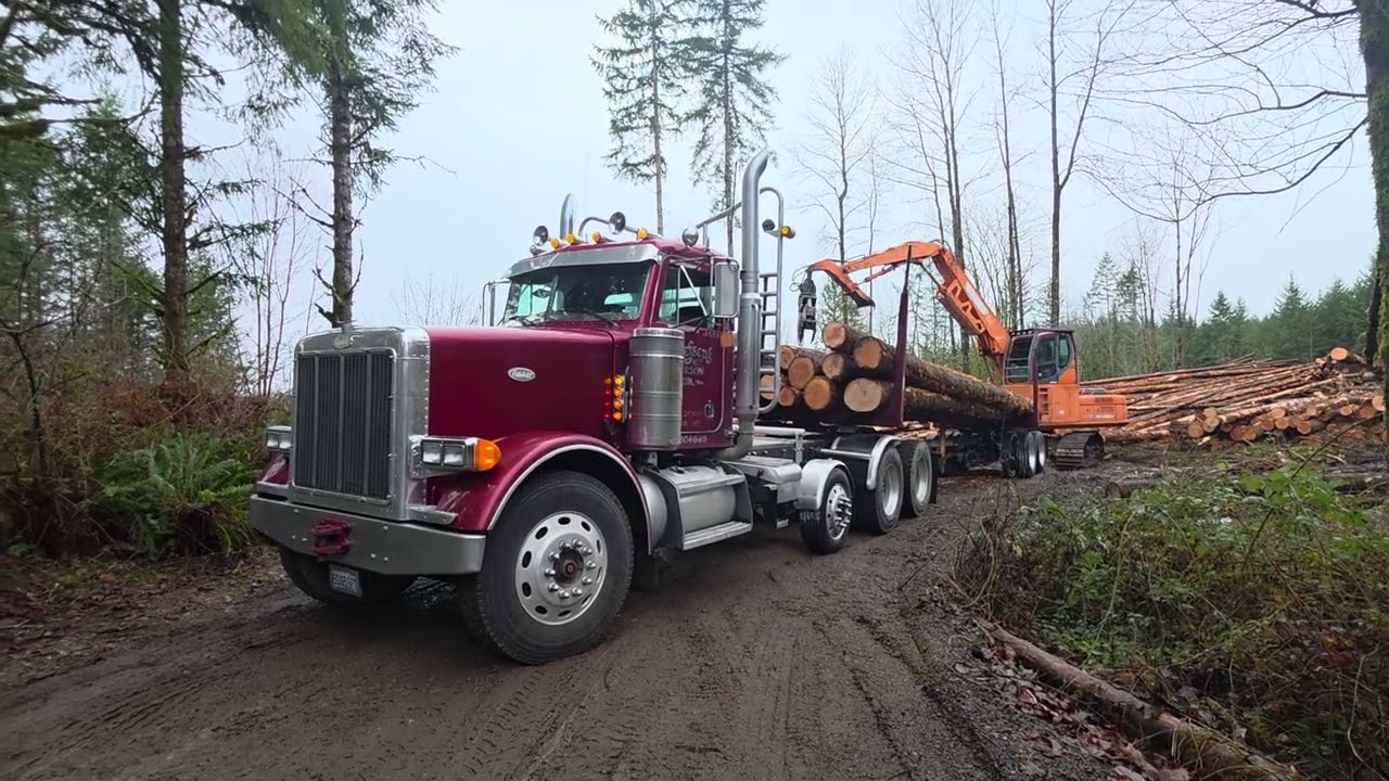 Лесовоз Peterbilt 99, Гранит-Фолс, штат Вашингтон. Подрядчик HCI. Грузоперевозки Tellefsen.