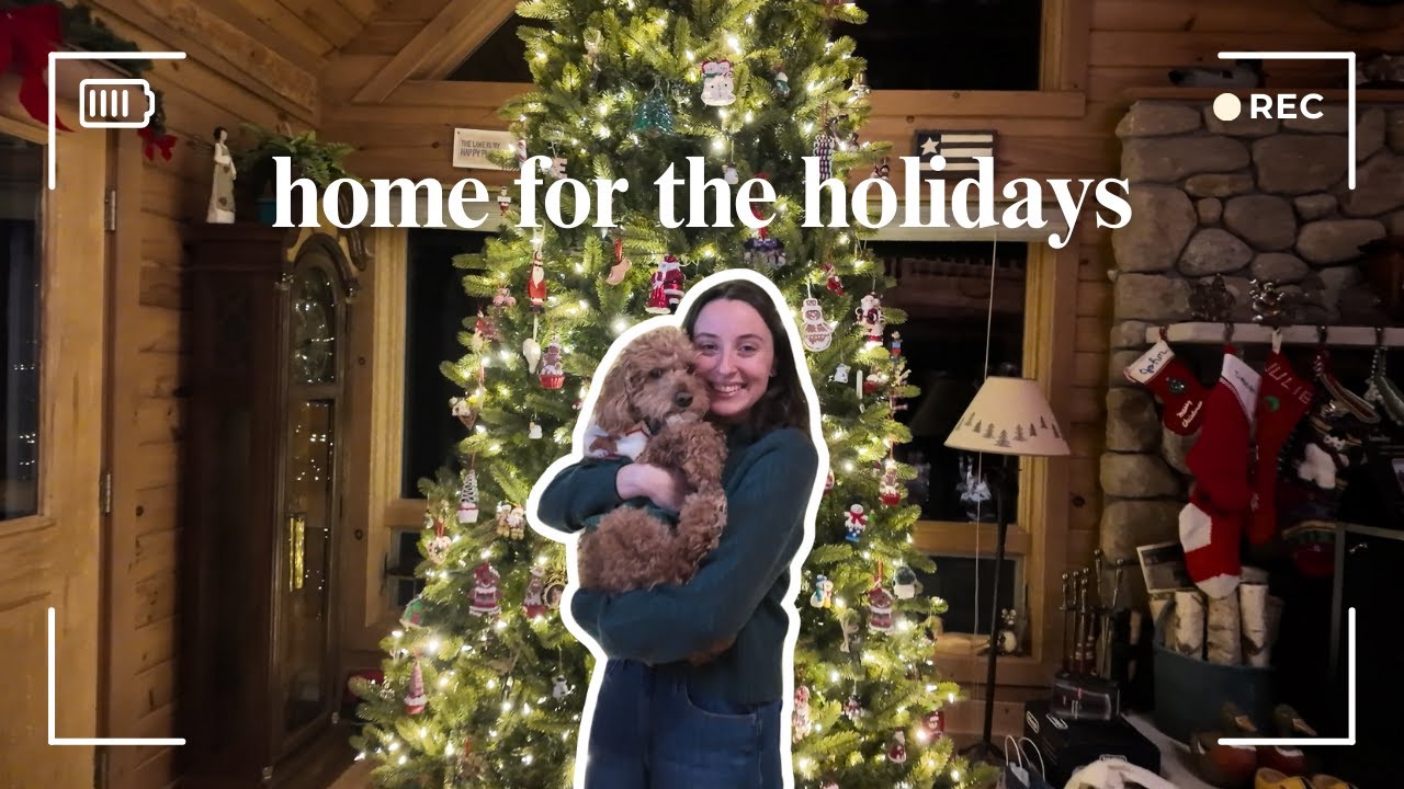 going home for christmas vlog 🎄 cozy days, family & festive moments