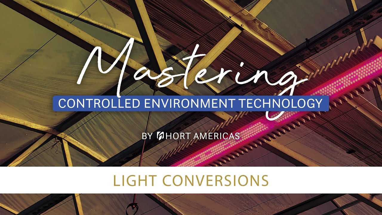 Greenhouse Light Conversions & Vertical Farm Lighting | Greenhouse Lighting Systems