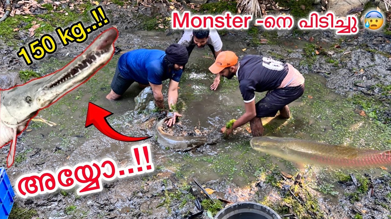 💥2 വർഷം വറ്റിക്കാത്ത Monster Pond വറ്റിച്ചു എല്ലാ  മീനുകളെയും പിടിച്ചു..!! |Catching Monster Fishes