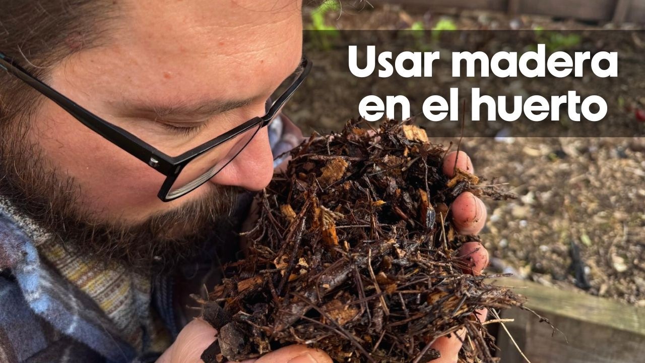 Madera, hongos y fertilidad: un huerto vivo