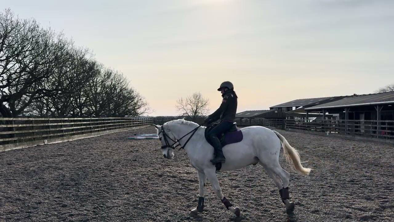Prelim 6 Feb