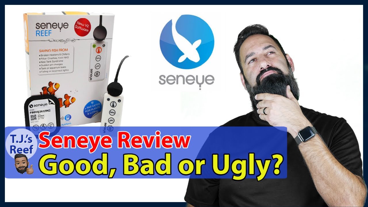SENEYE review:  Good, bad or ugly?