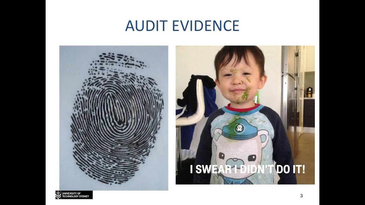 Topic 4 - Audit Evidence