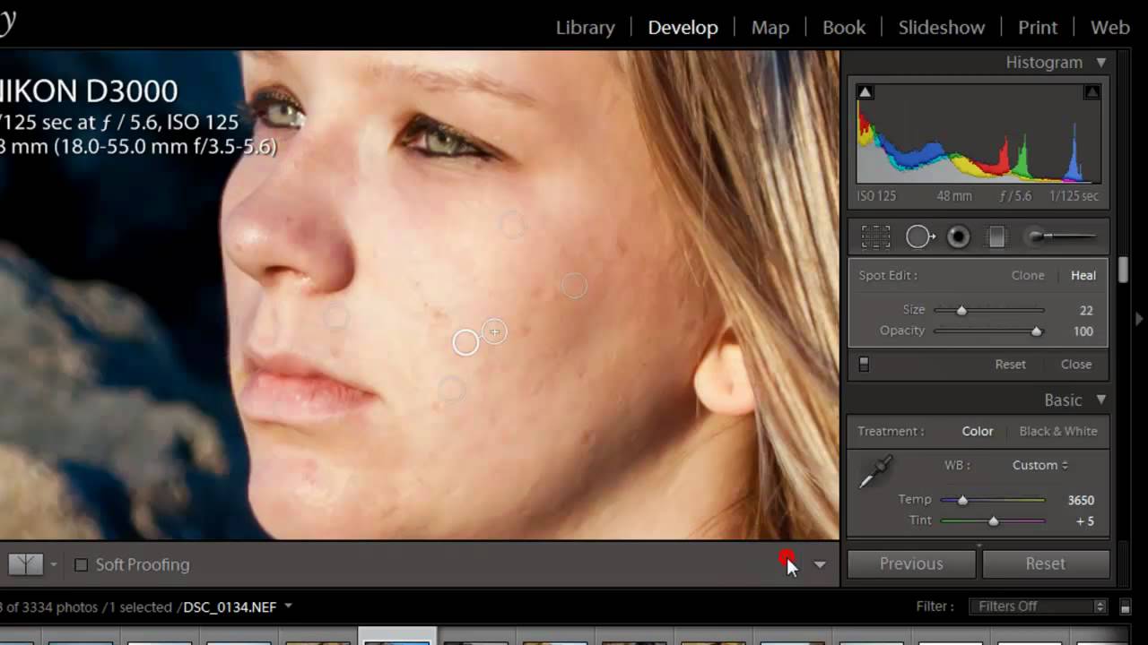 Lightroom 4 Skin Softening