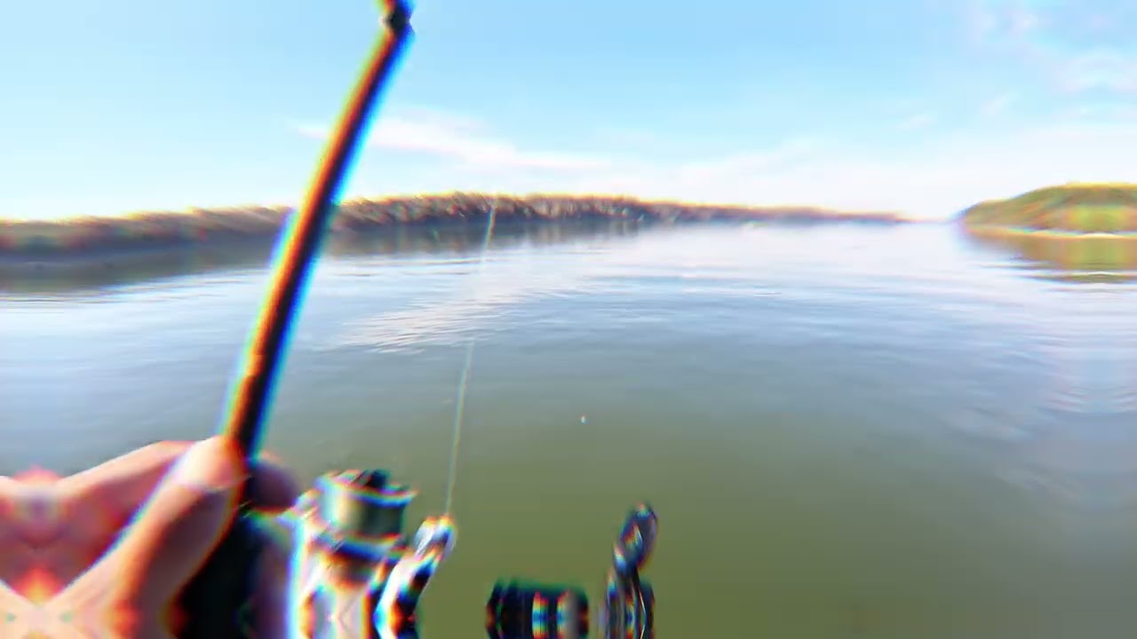 Tough Time On Pickwick Lake(BFL Wildcard)
