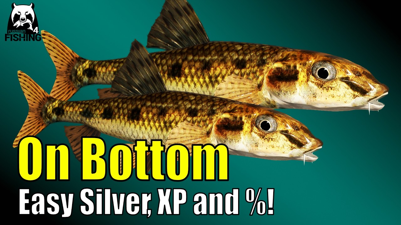 Russian Fishing 4 - Извилистая ручейка - Серебро, опыт и проценты! Очень легко! #rf4 Пескарь на дне