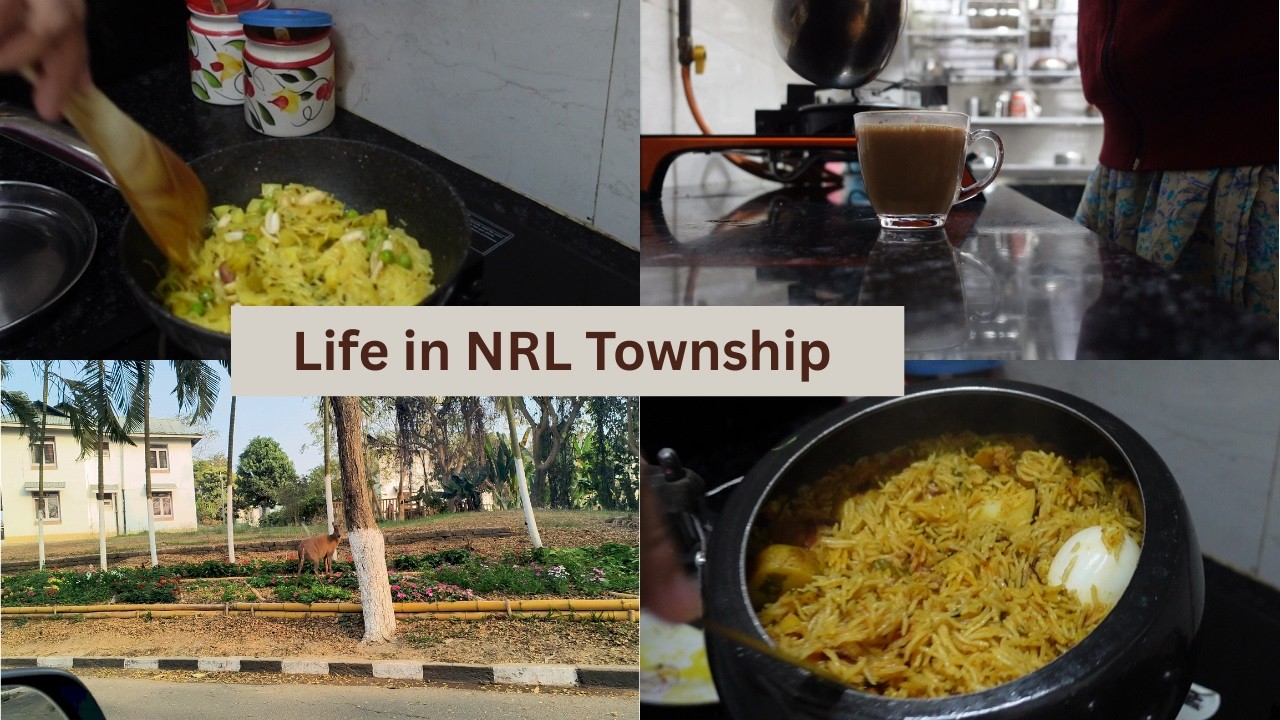 Chicken Biriyani in cooker| Life in NRL Township Assam| Hindi Vlogs|Laxmi Saikia