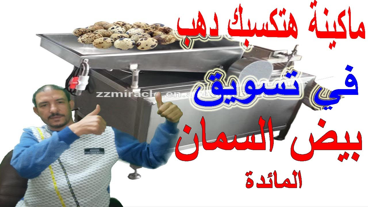 لو عندك بيض سمان مائدة والماكينة دي اوعدك هتكسب دهب