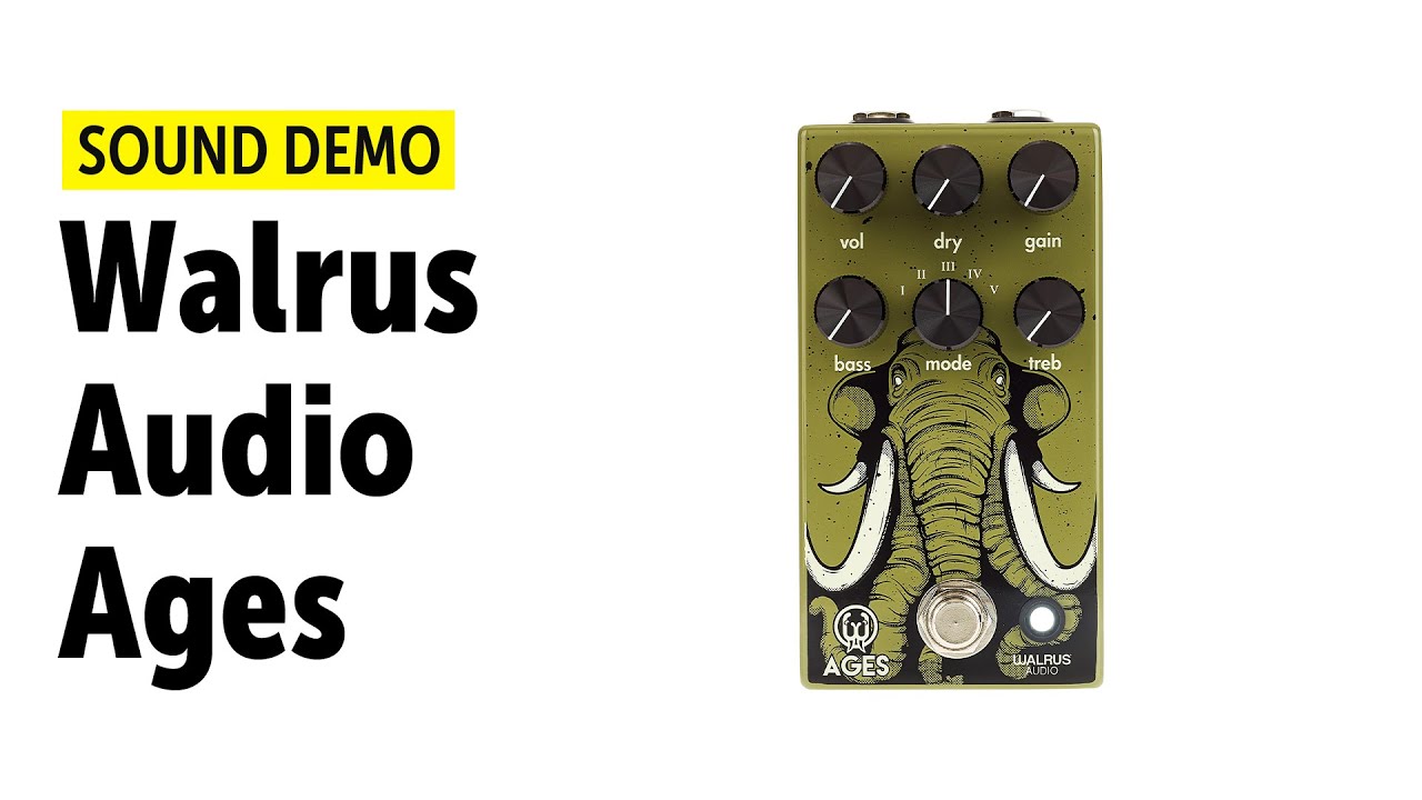 Walrus Audio Ages - Sound Demo (no talking)