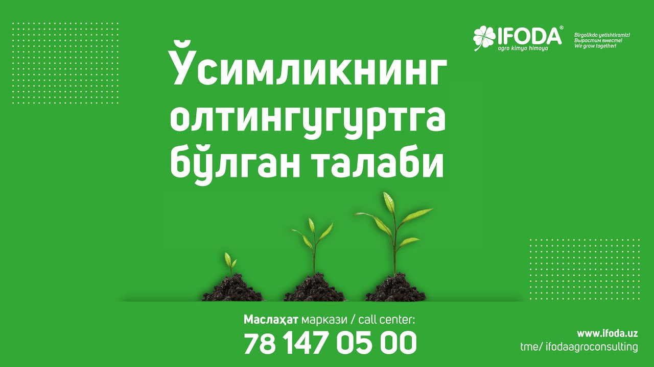 Ўсимликнинг олтингугуртга бўлган талаби