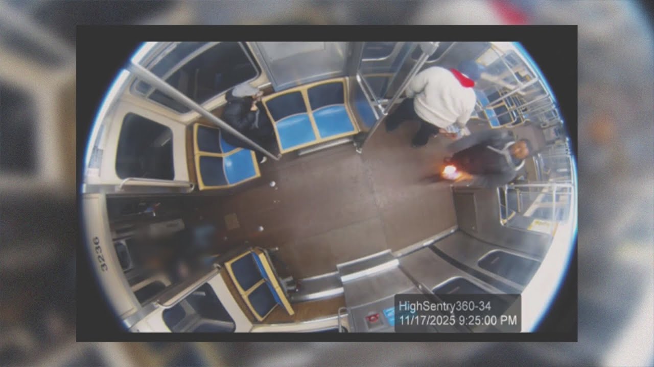 Man charged with terrorism after woman set on fire on CTA Blue Line train