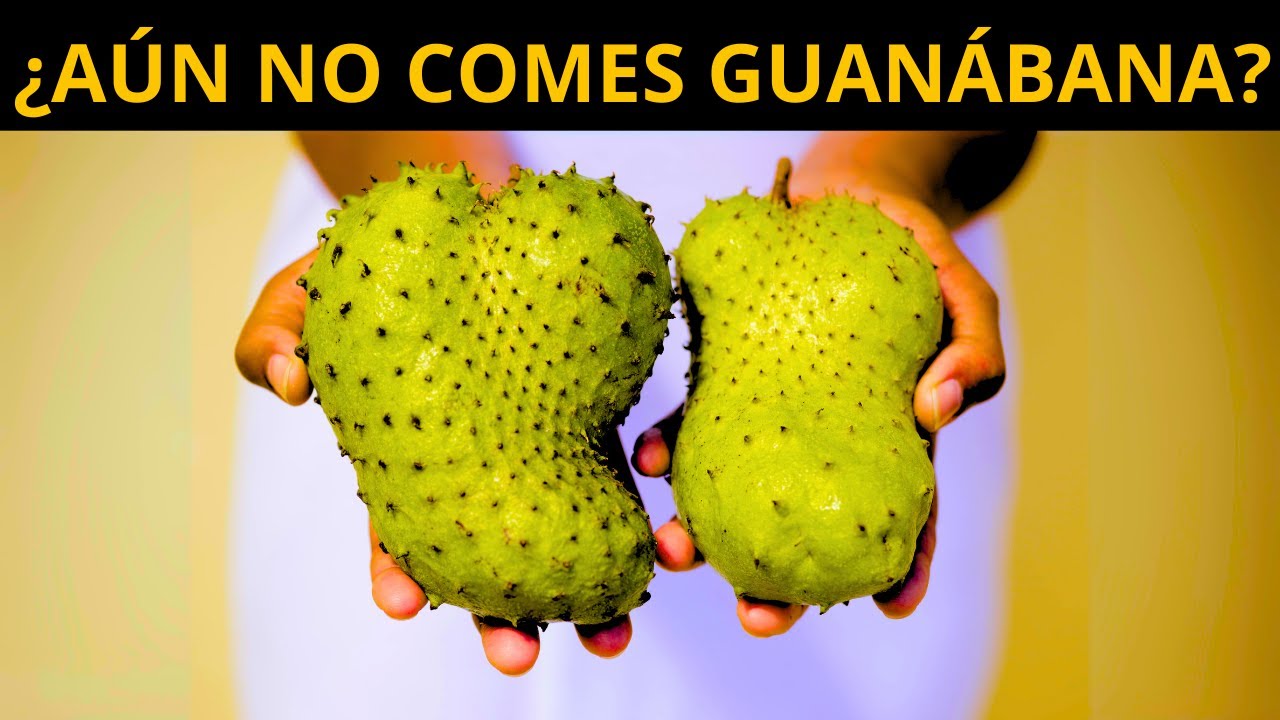 ESTO PASA si COMES GUANÁBANA DIARIO