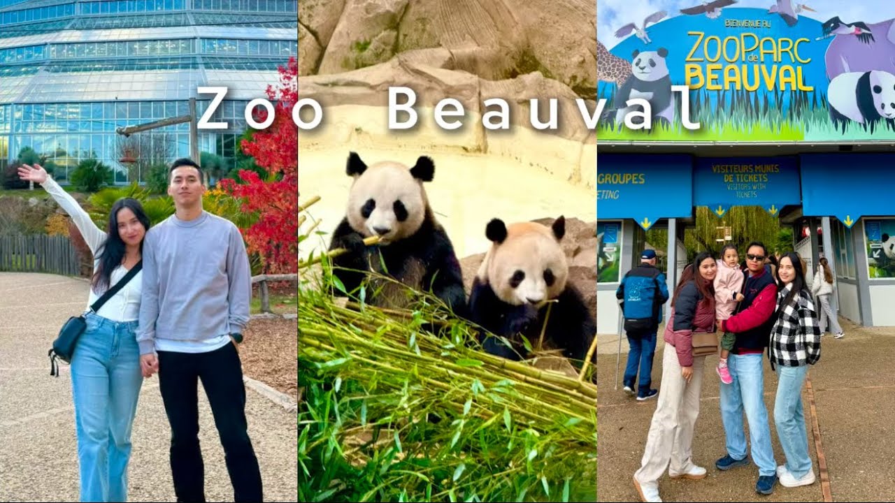 Zoo beauval once again || Tibetan vlog 