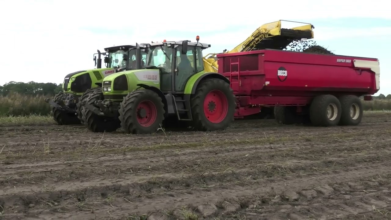 AARDAPELS ROOIEN MET EEN ROPA KEILER II CLAAS AXION 810