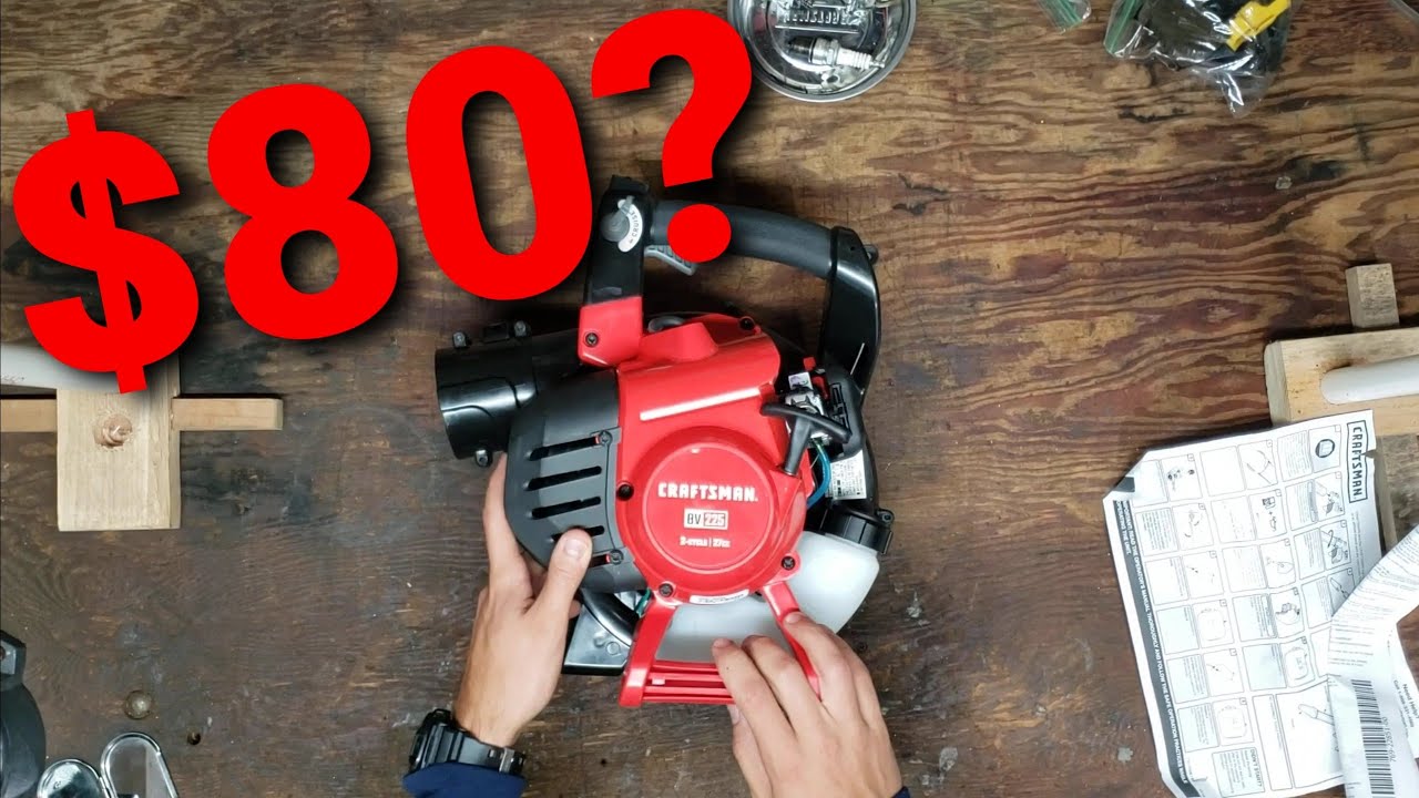 $80 Leaf Blower... is it worth it?