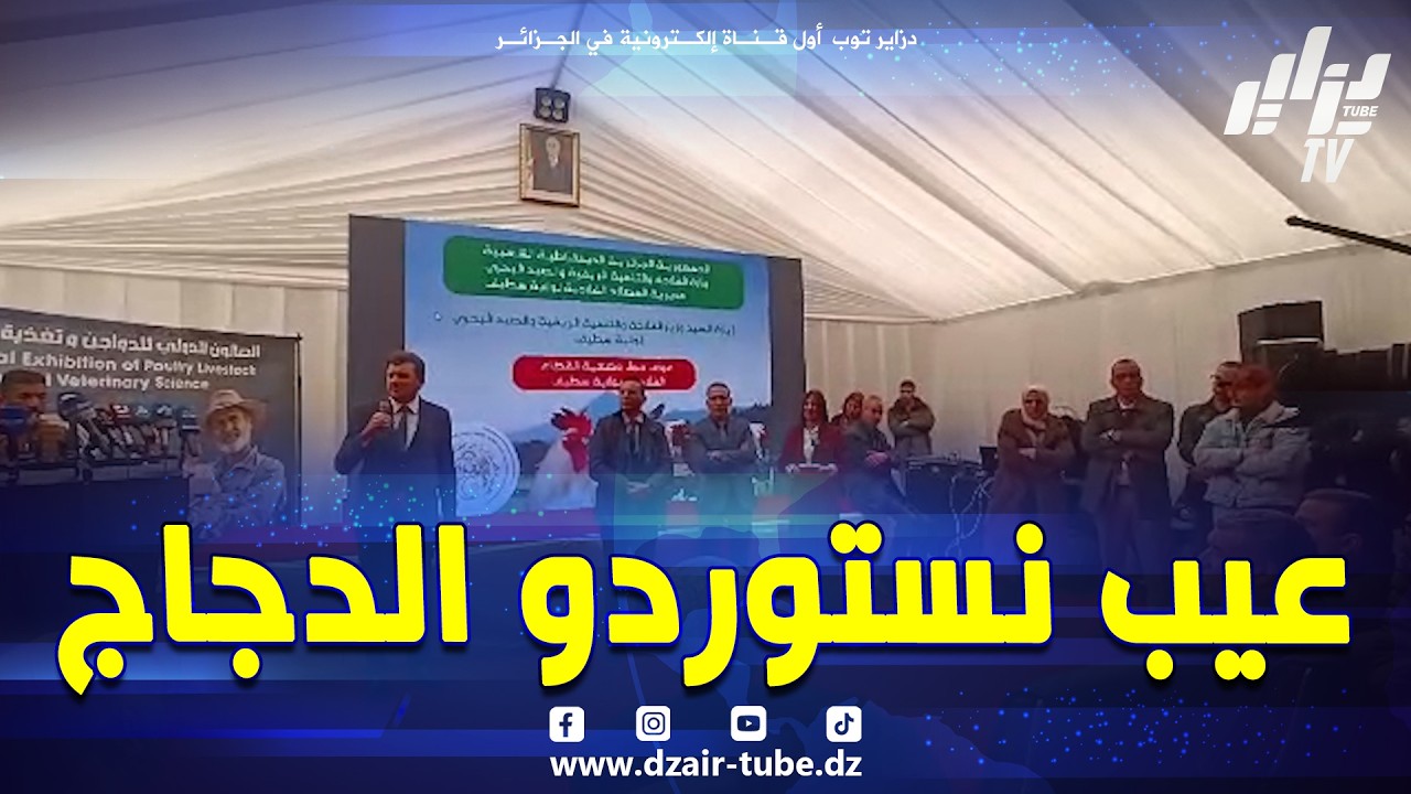 عيب نستوردو #الدجاج 🤔 و راح تكون اجراءات لتوفير اللحوم البيضاء بأسعار تناسب المستهلك و المربي