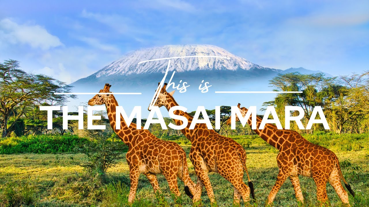 Masai Mara, Kenya | Safari365