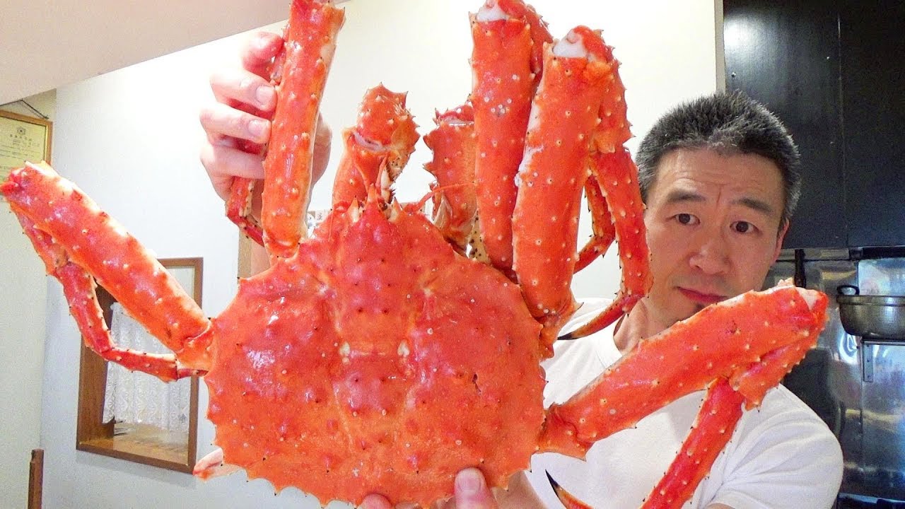 북해도산 킹크랩 먹방 역대최고의 맛이었다! How to Prep King Crab | Hokkaido King Crab