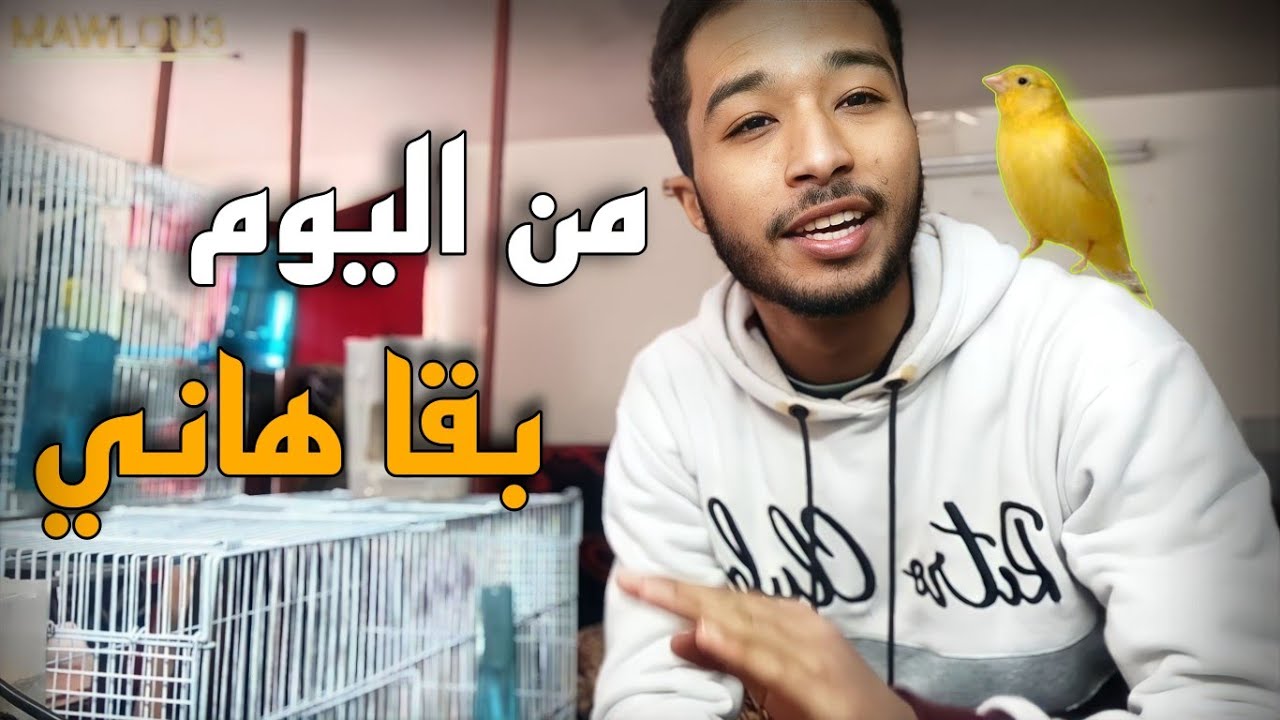 هدا هو سبب مو * ت الطيور 😯✨