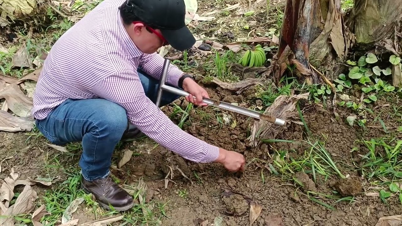 Uso del succionador para evaluar nutrientes en suelo, parte 1