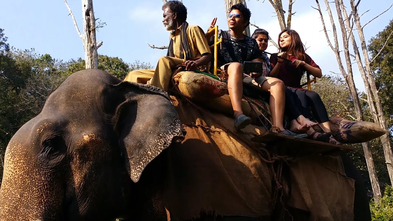 Elephant Ride at Topslip near Parambikkulam