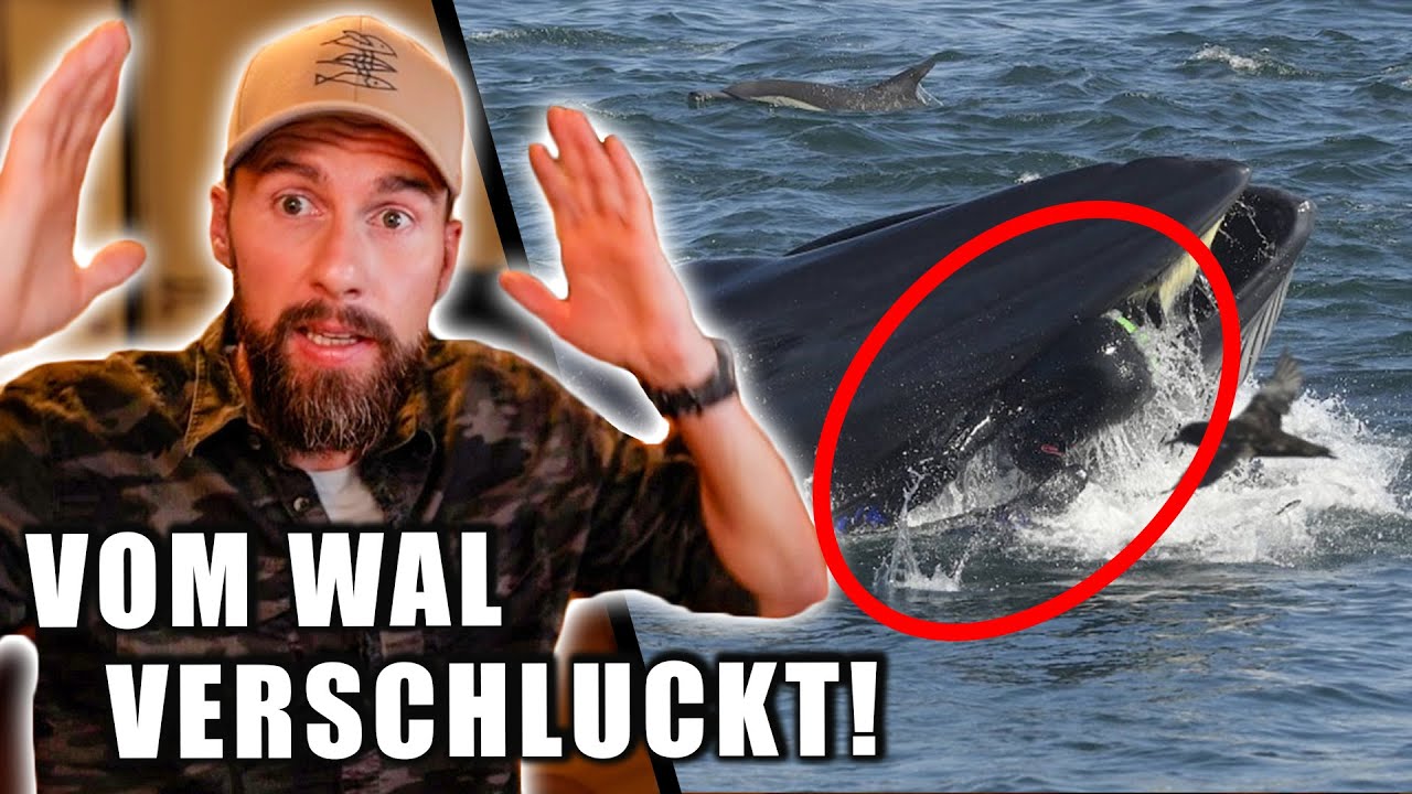Vom WAL VERSCHLUCKT! - Wie überlebt man das? | Robert Marc Lehmann