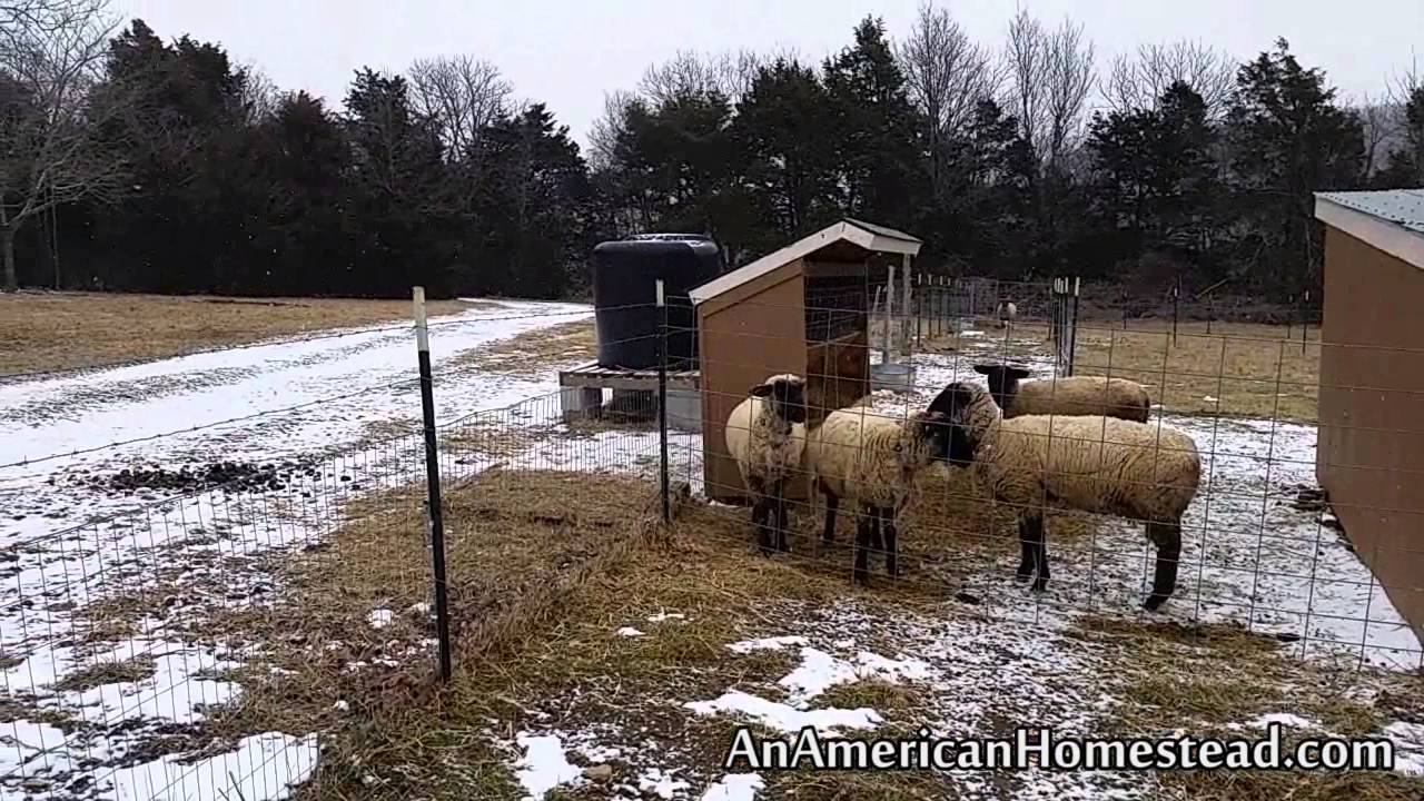 Preparing Pastures For Spring
