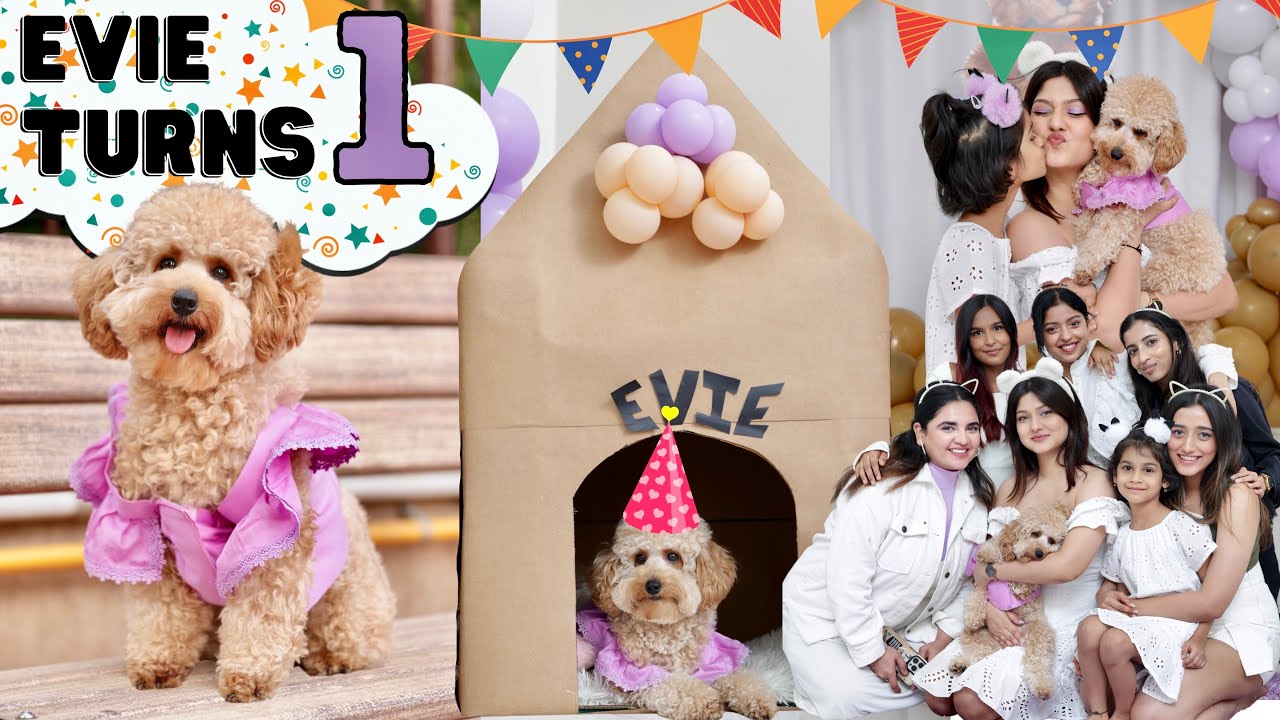 When Evie Turned ONE🥹🎂