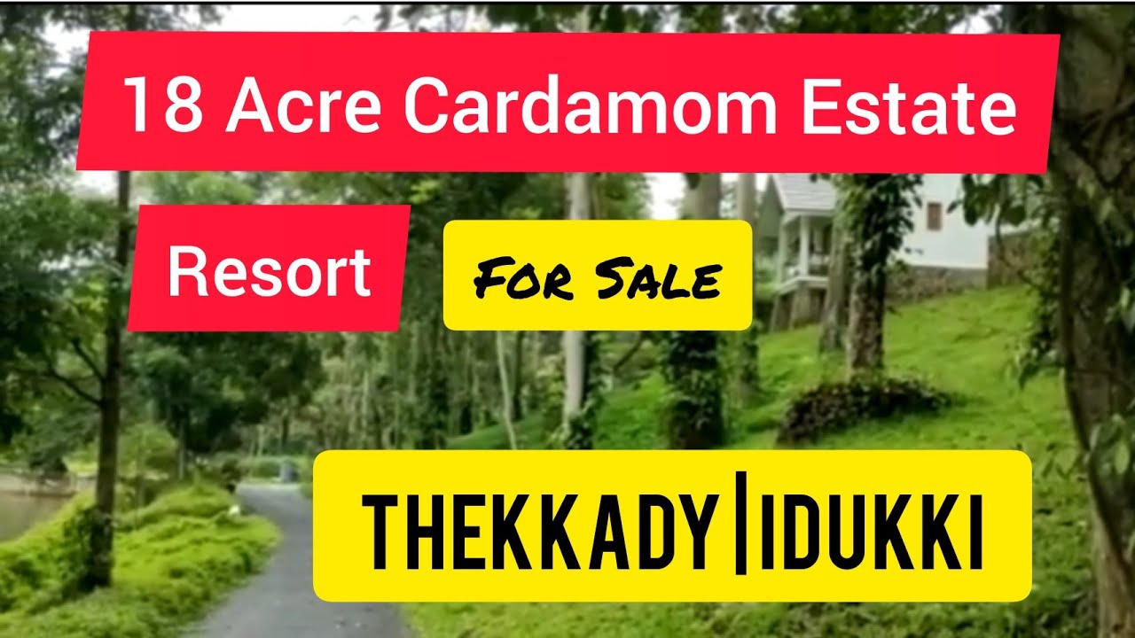 18 Acre Cardamom Estate With Resort For Sale Highway Thekkady | Idukki |Kerala (40 Cr)