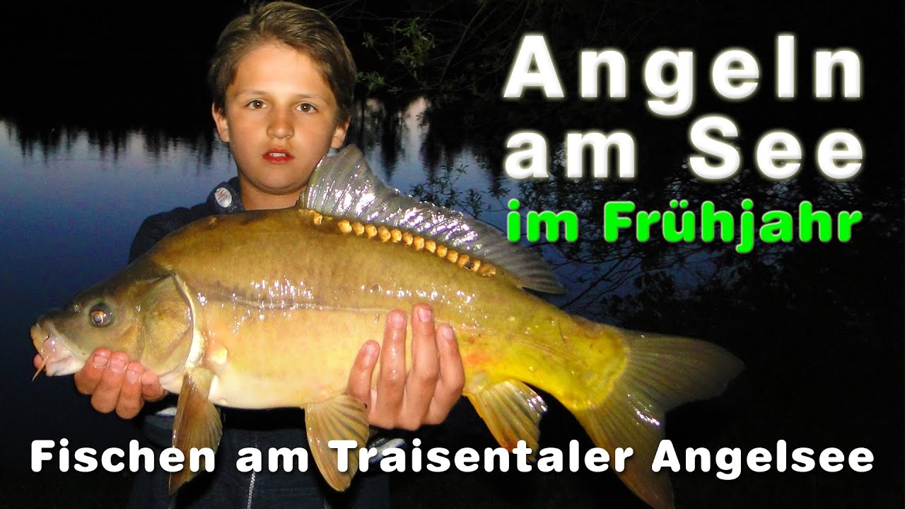 Angeln am See 🐟 Raubfisch-Attacke - Karpfen zubereiten  - Fischen am Traisentaler Angelsee