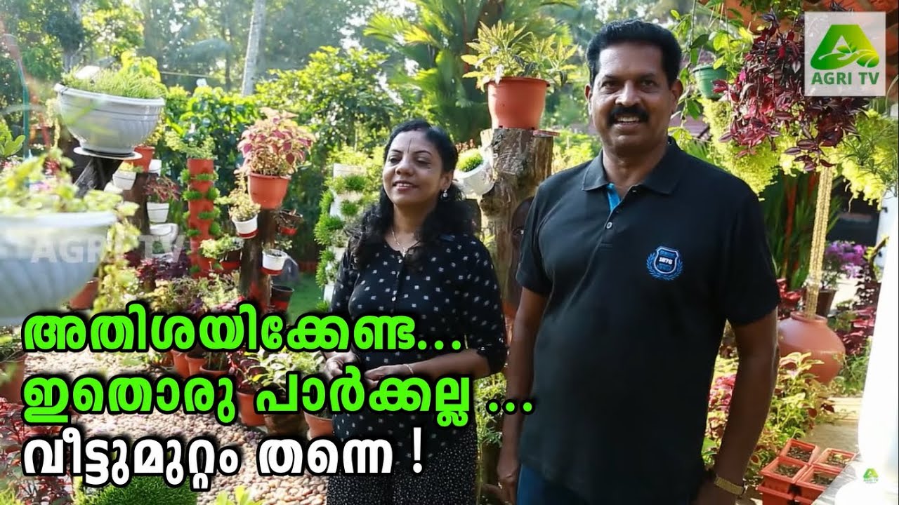 അതിശയിക്കേണ്ട .. ഇതൊരു പാർക്കല്ല ... വീട്ടുമുറ്റം തന്നെ !!! | Kerala Home Garden