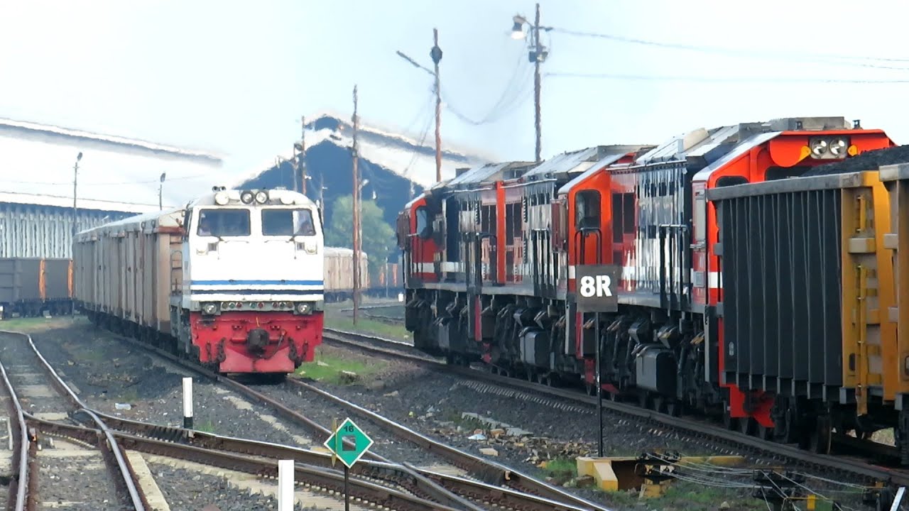Langsiran Depo Rejosari Bonus Triple CC 205 Babaranjang