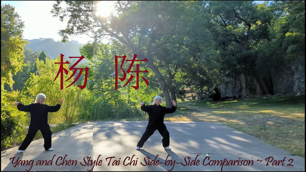 Yang and Chen Style Tai Chi Side-by-Side Comparison Part 2
