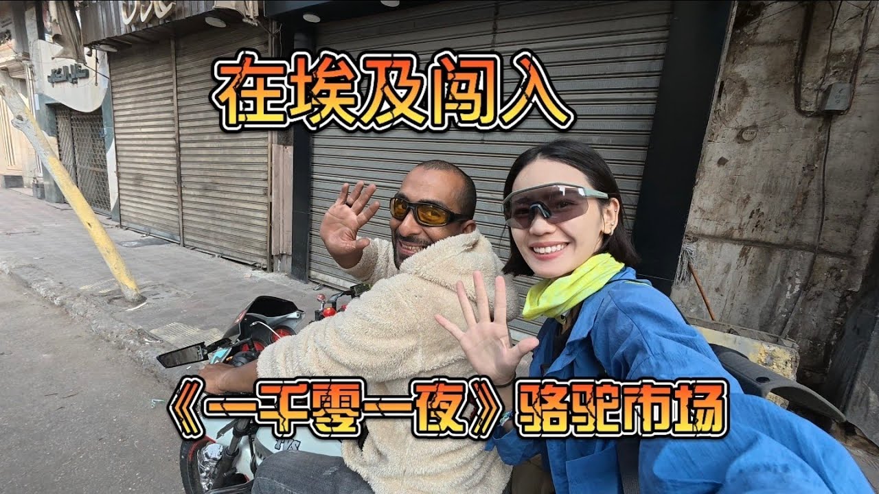 女生在埃及闯入《一千零一夜》的骆驼交易市场
