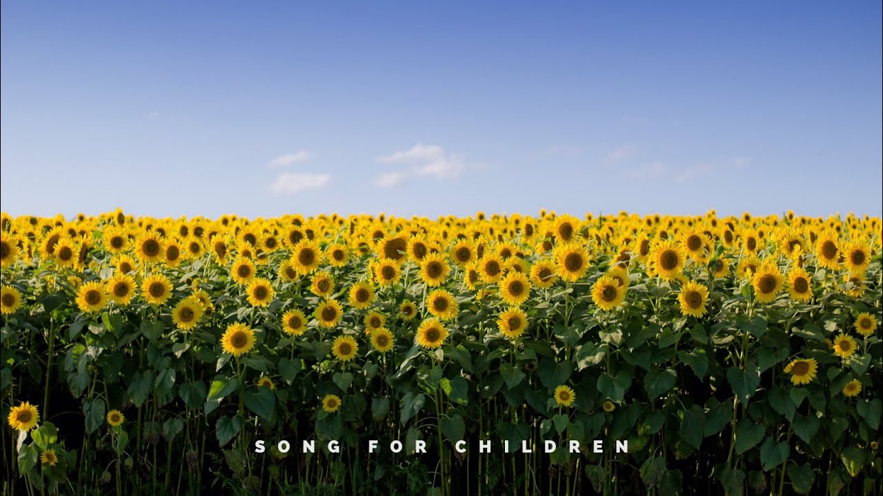 Senat - Song for Children VIDEO