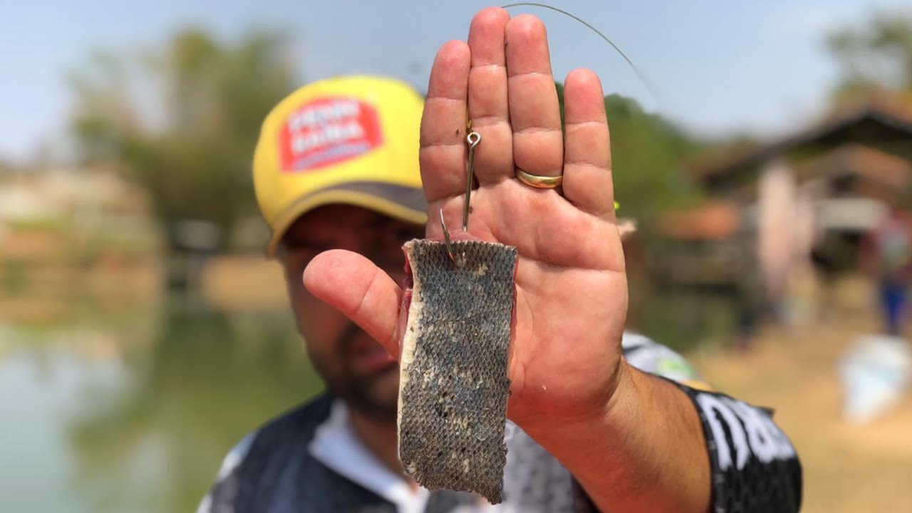 ESSA ISCA É FATAL PARA GRANDES PIRARARAS! ISCANDO COURO DE PACU! - Rota Fishing