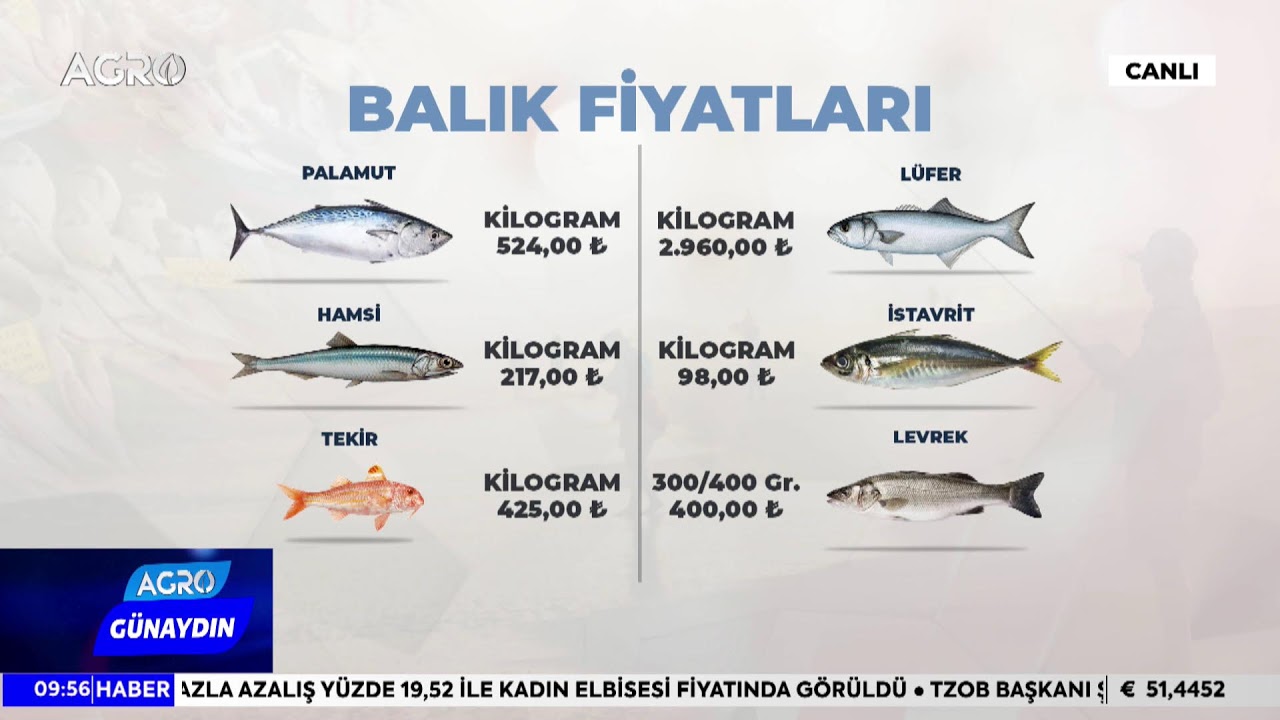 #CANLI AGRO TV İle GÜNAYDIN