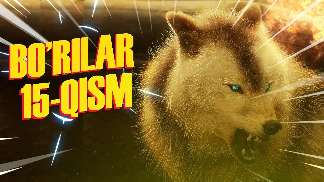 🔥 BO'RILAR MUTLFILM 15-QISM 🔥 MOTIVATSION VIDEO 🔥