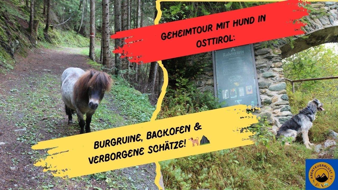 Geheimtour mit Hund in Osttirol: Burgruine, Backofen & verborgene Schätze!