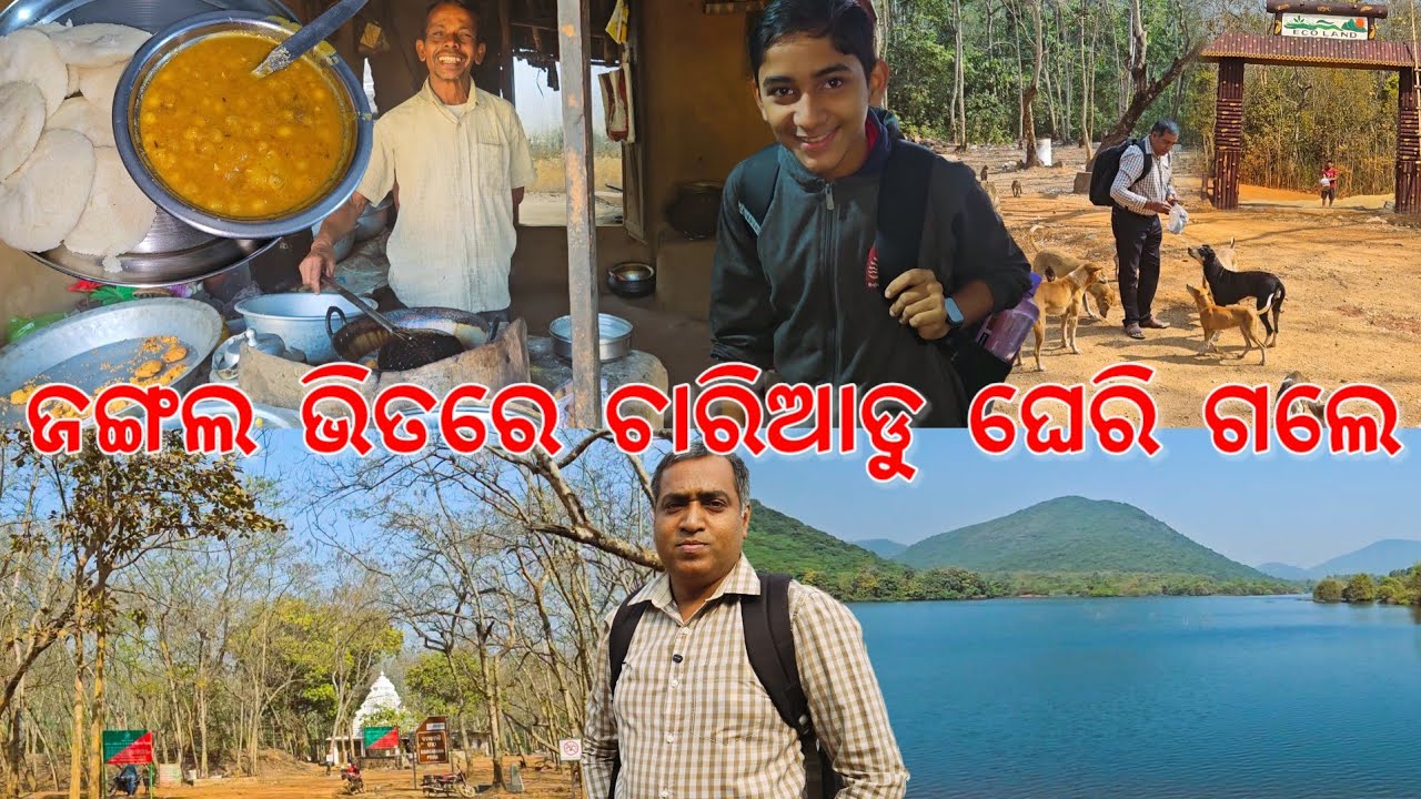 ଜଙ୍ଗଲ ଭିତରେ ଚାରିଆଡୁ ଘେରି ଗଲେ l ସକାଳ ସୁନ୍ଦର ଜଳଖିଆ 😋 l Cuttack best place l Gouranga Nayak Odia Vlogs 